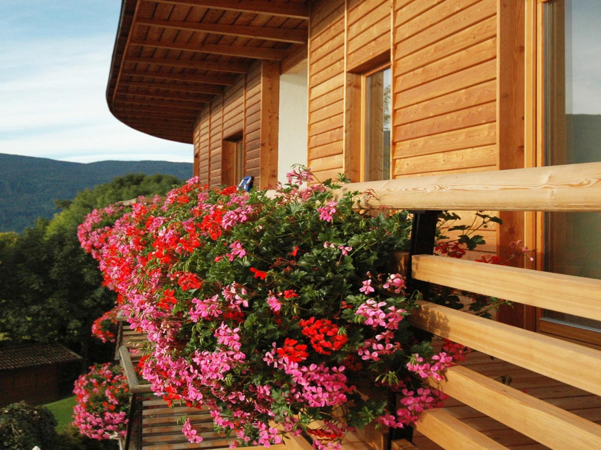 Hotel Dolomitenblick Terento Kültér fotó